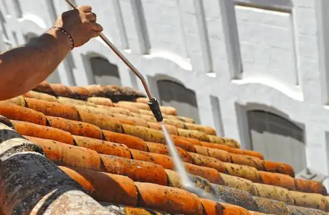 Démoussage de toiture à Mane